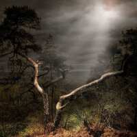 Lesen LED Bilder Bewertungen